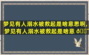 梦见有人溺水被救起是啥意思啊,梦见有人溺水被救起是啥意 🐯 思 🦊 啊周公解梦